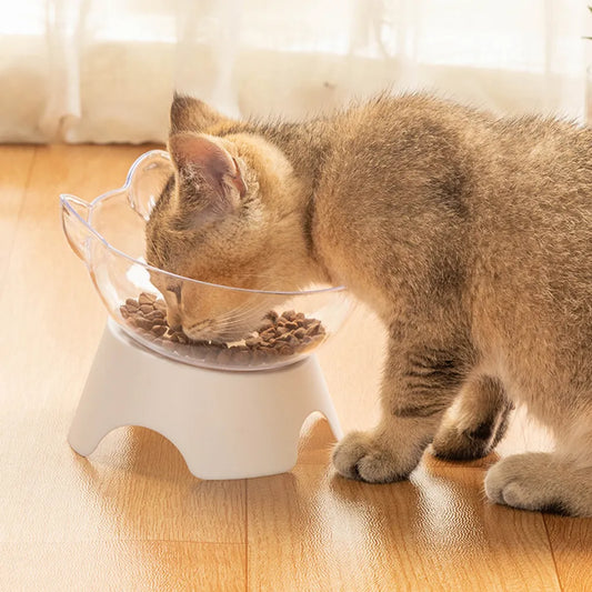 Transparent Cat Bowl For Cats Dogs Feeders