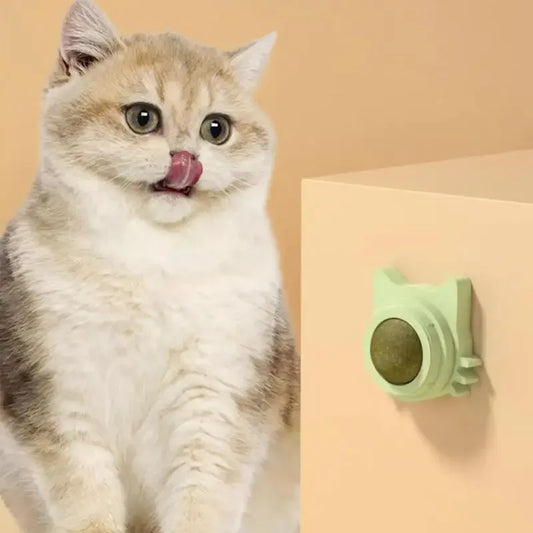 Funny Lickable Cat Snack Catnip Balls