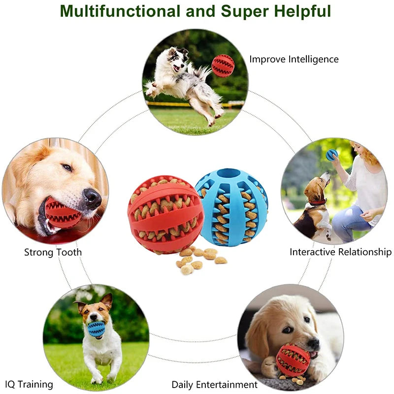 Dog Ball Toys for Small Dogs Interactive