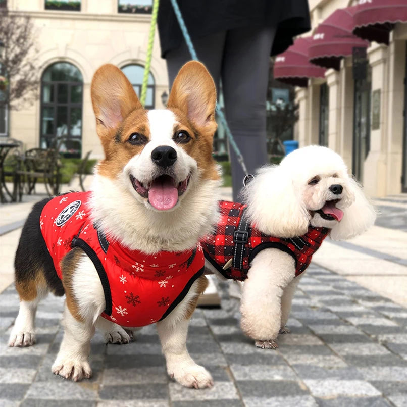 Puppy Clothes Winter Dog Coat Jacket for Small Medium Dog